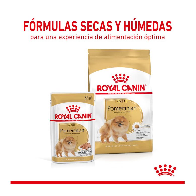 Royal Canin Adult Lulu da Pomerânia ração para cães, , large image number null